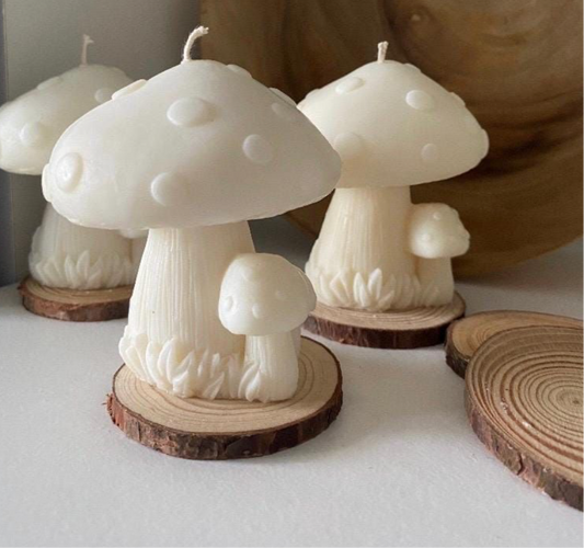 Mushroom #256