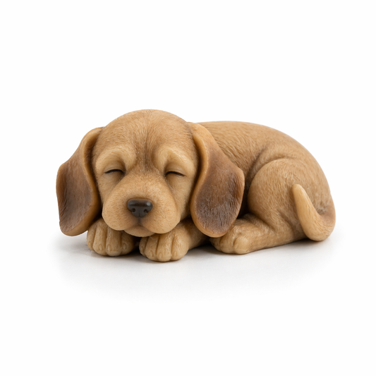 Sleepy Dog