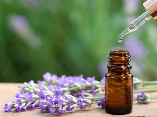 Lavender Oil