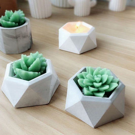 Flat Hexagon Pot