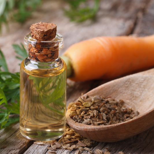 Carrot Infused Oil