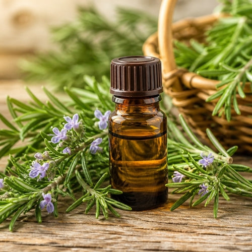Rosemary Oil