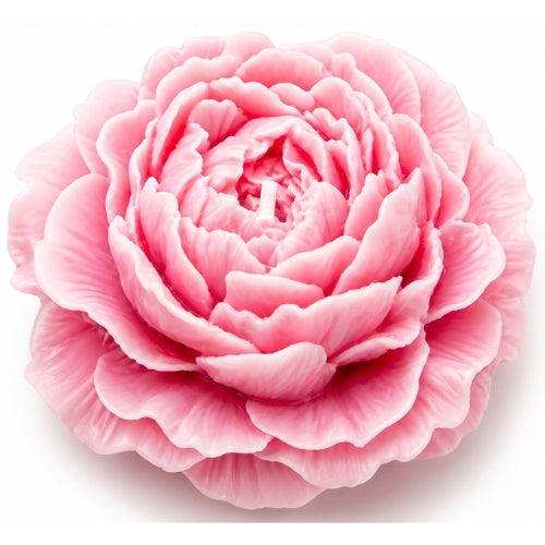 Large Peony
