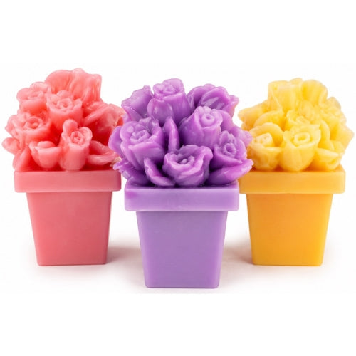 Flowers in Pot
