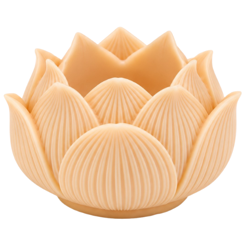 Lotus Pot