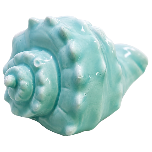 Seashell