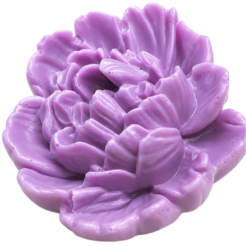 Chrysanthemum Flower