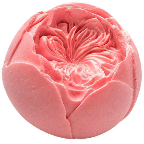 Tulip Peony Medium