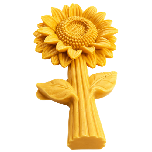 Sunflower Stem