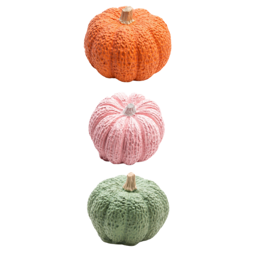 Pumpkin Set