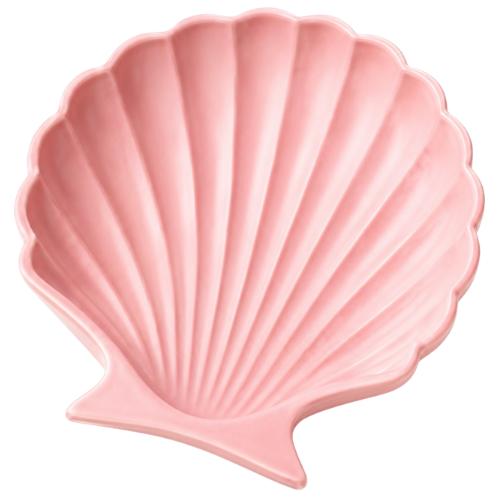 Shell Coaster