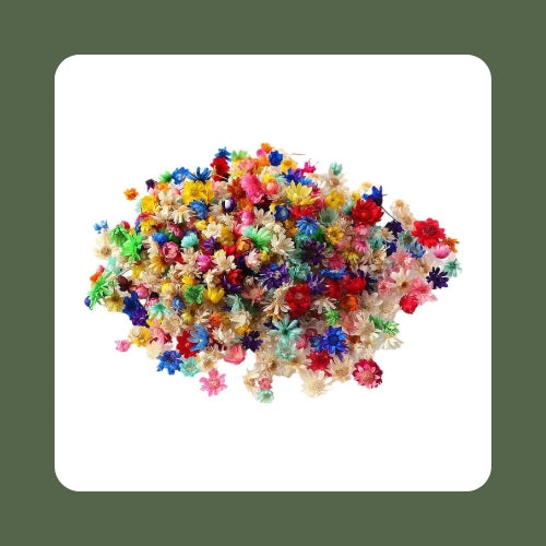 Mini Dried Flowers