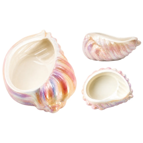 Large Shell Pot 2