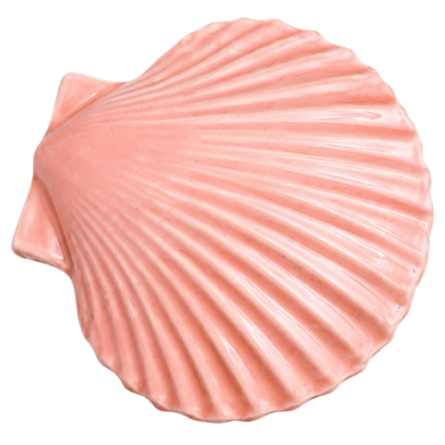 Open Clam Shell 6 Cavities