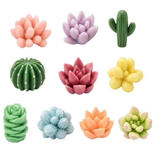 Cacti Set