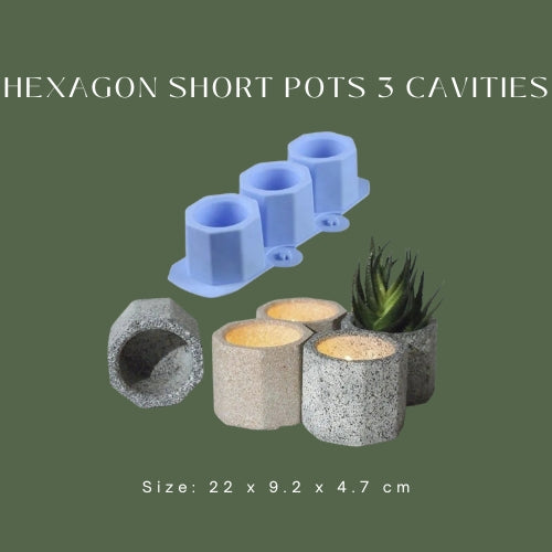 Hexagon Short Pots 3 Cavities