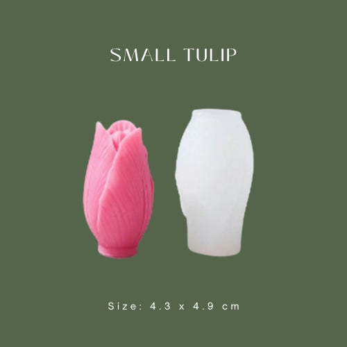 Small Tulip