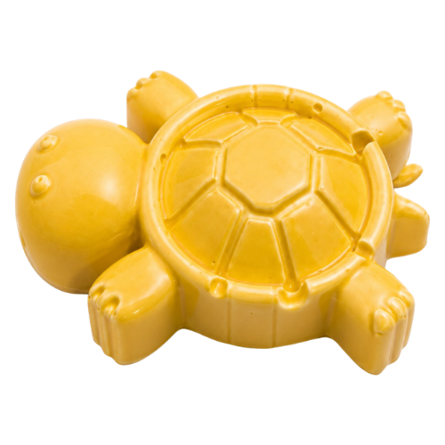 Turtle 6 Cavities