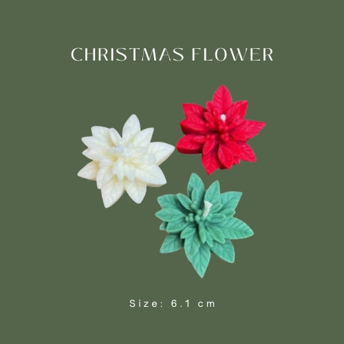 Christmas Flower