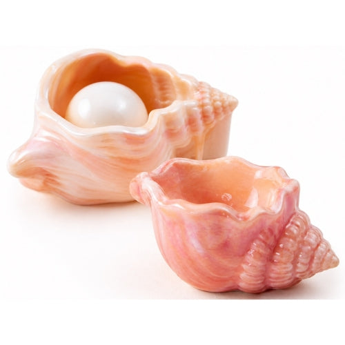 Conch
