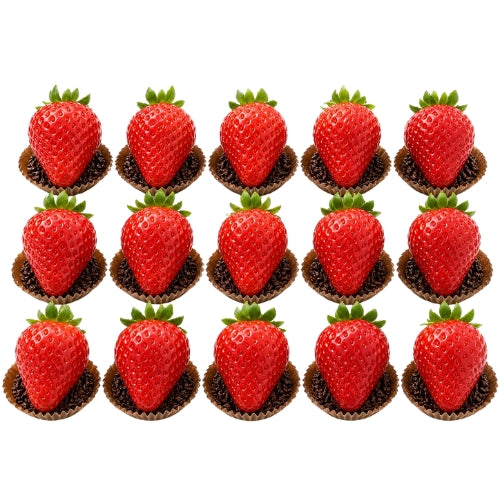 Strawberries 15 Cavities (Large)