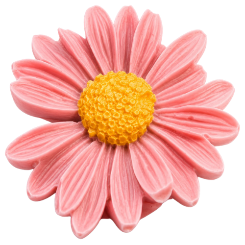 Daisy Flower