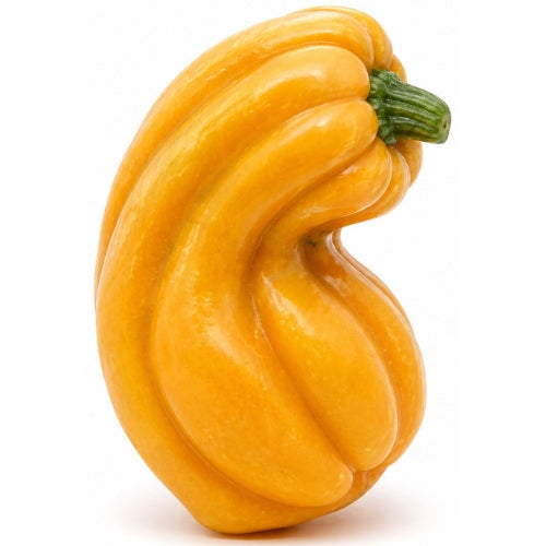 Curved Pumpkin