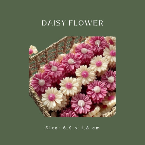 Daisy Flower
