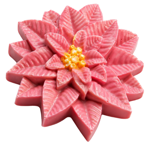 Poinsettia Flower
