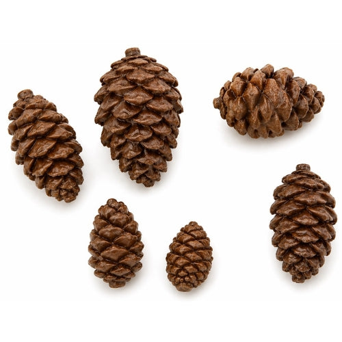 Pine Cone (Mini)