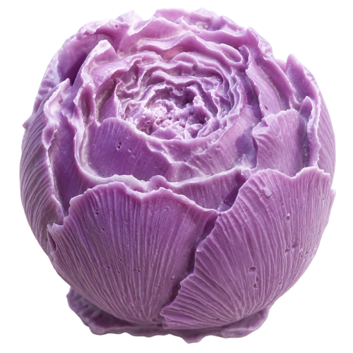 Peony Pud Flower
