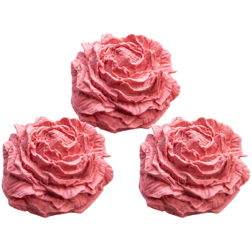 Three Peony Flowers