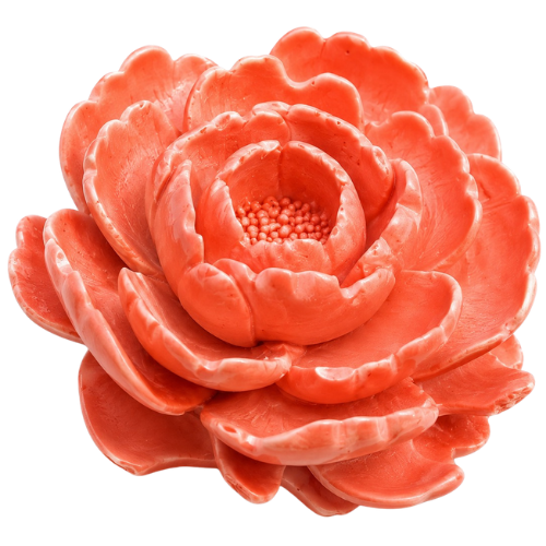 Camelia Large Flower