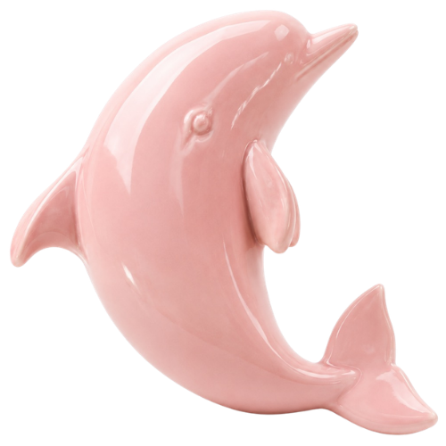Dolphin
