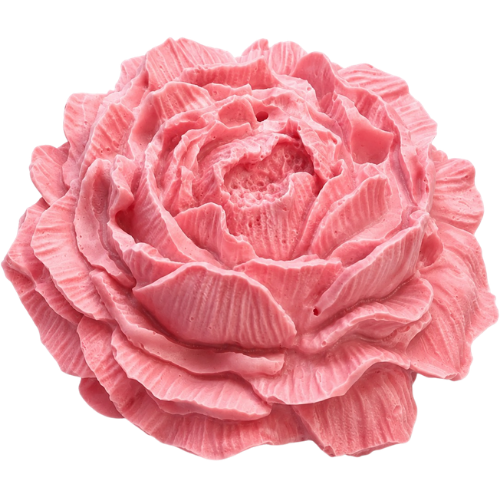 Peony Flower