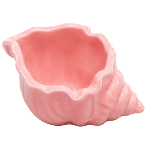 Conch 2