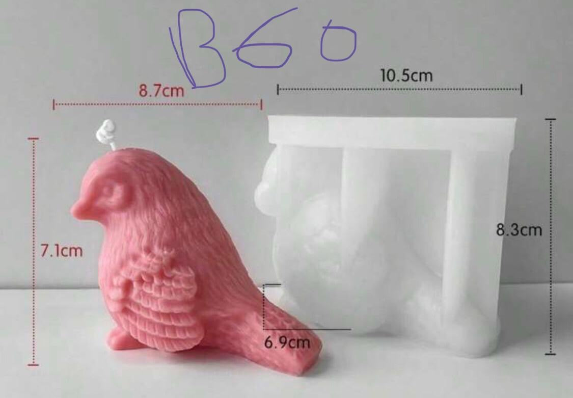 B60