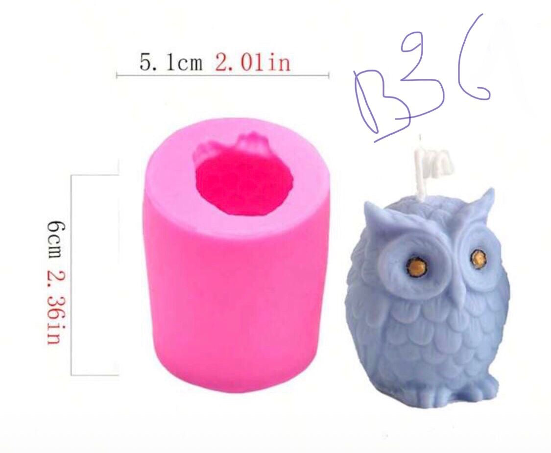 B36
